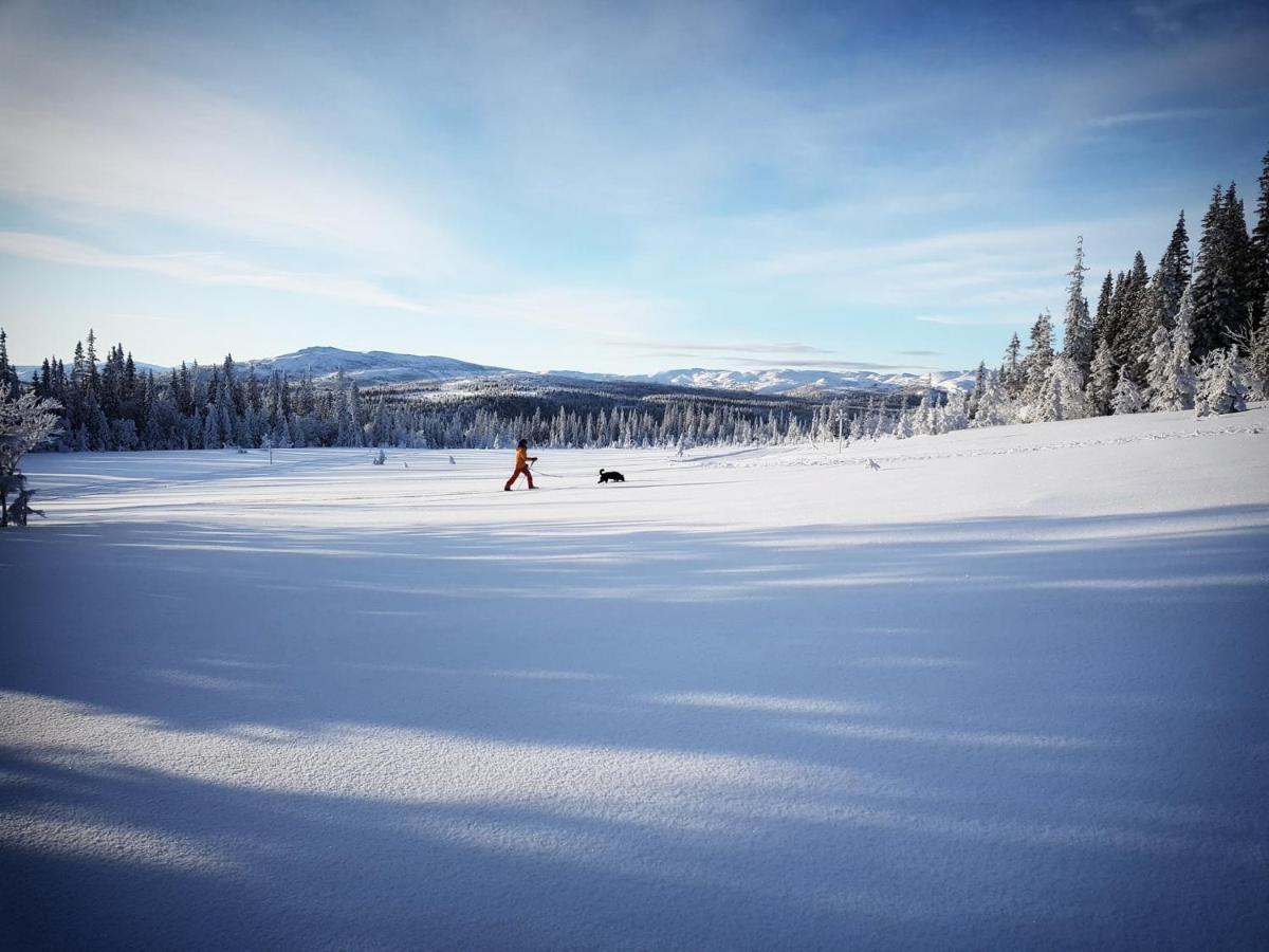 Köjagården Hotell Edsasdalen Exteriör bild